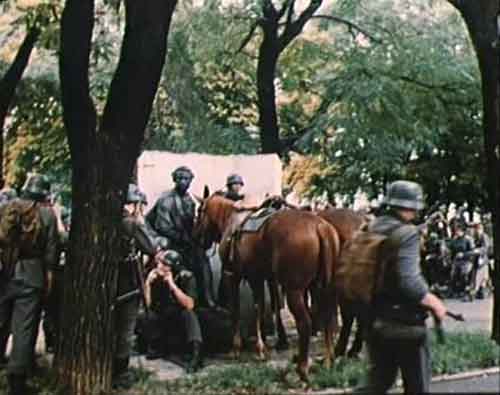 Немецкие лошади у памятника Пушкину